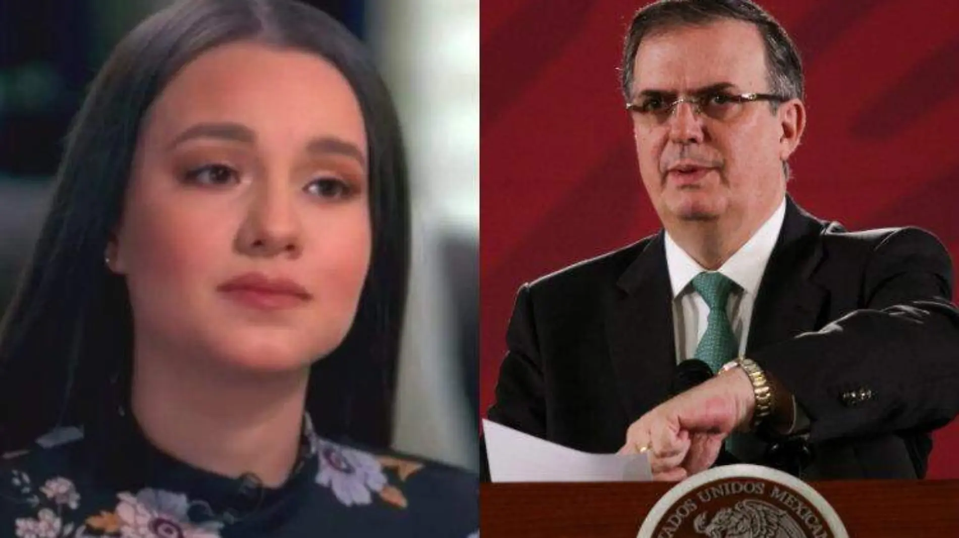 collage ebrard sarita